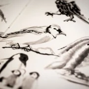 Live Drawing