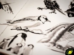Live Drawing