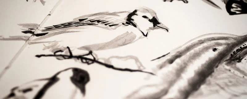 Live Drawing