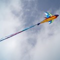 Costco kites design