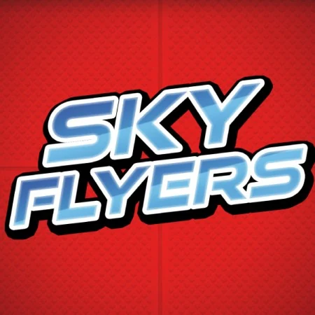 Sky flyers Dollar general kites design