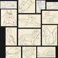 Sketch drawing compilation