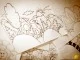 Cartoon funny Forest Illustration