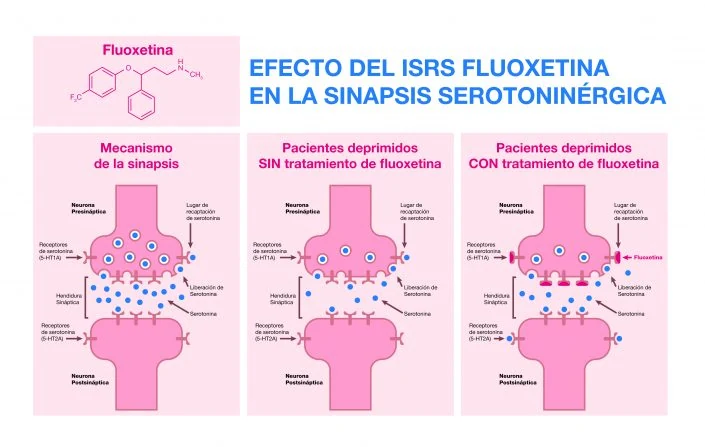 Medicine and health synapsis infographic design